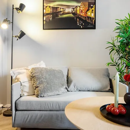 Apartamento 3ff - Newly Renovated In The Middle Of The Centre Trondheim